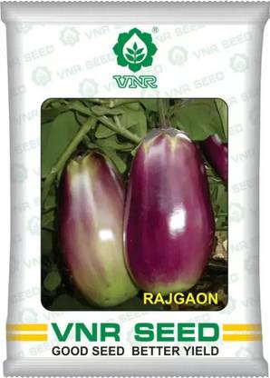 gogeen RAJGAON Seed