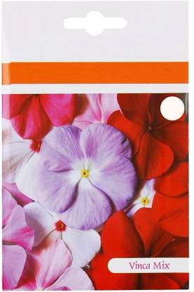 WILLVINE XLL-4 Vinca Pacifica Mix Seeds Seed