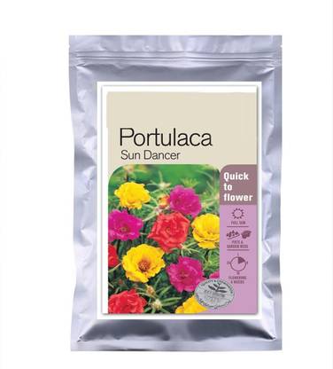 CYBEXIS PUAS-60 - Portulaca Sun Dancer - (300 Seeds) Seed
