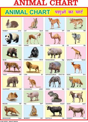 English Hindi Animals Chart For Kids | 28x40Inch (70x100cm)| Laminated chart | Waterproof and Non tearable Wall Chart. Paper Print