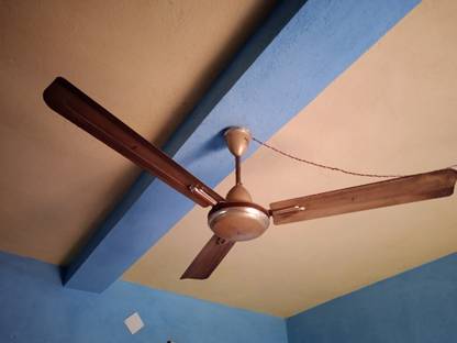 Polycab 0102 1430 mm 3 Blade Ceiling Fan