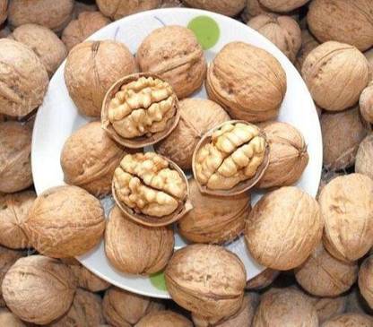 FreshoCartz California Walnuts with Shell | Whole Inshell Walnuts | Sabut Akhrot (200gm) Walnuts