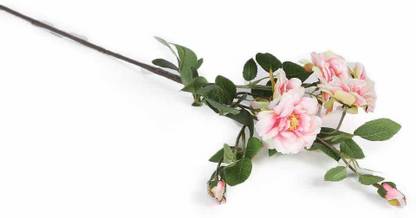 Home4U Iceland Rose Flower Pink Rose Artificial Flower