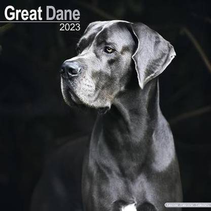 Great Dane (Euro) 2023 Wall Calendar