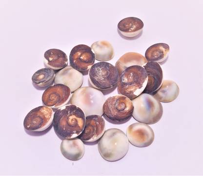 Multiline Company Decorative Showpiece  -  2 cm