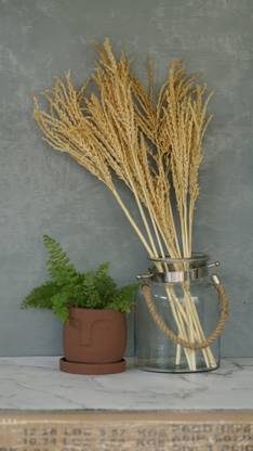 On The Soil Corntail Yellowish Gold Vase Filler
