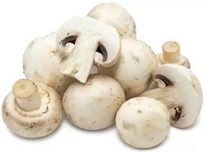 Chalisa Mushroom Seed