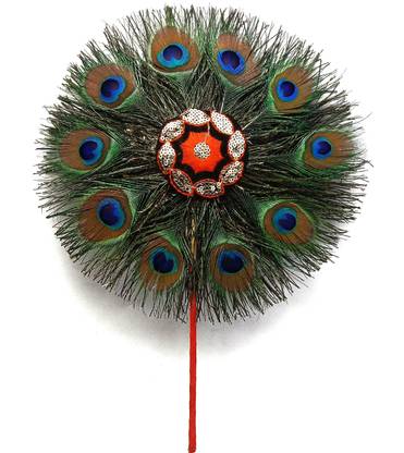 Peacock Featherz Pack of 10 Decorative Feathers
