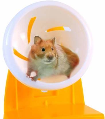 Petzlifeworld Silent Rotatory Jogging Hamster Wheel with Adjustable Stand (Random Color) Pet Treadmill