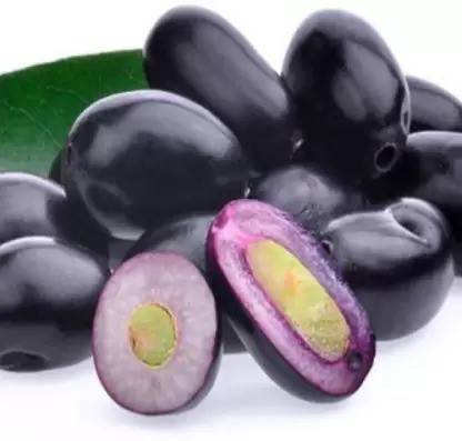 Chalisa Black Plum, Jamun, Malabar plum, Java plum Seed