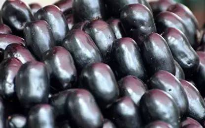 Aro Black Plum, Kala Jamun, Java Plum Seed
