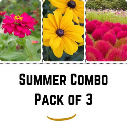 Shivnami Kochia Fire Bush, Rudbeckia Rustic Dwarf, Zinnia Scarlet Flame Seed