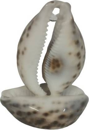 METALCRAFTS Goa Souvenir, Shankh, original, table top, showpiece, pen stand, size 4.5" Decorative Showpiece  -  12 cm