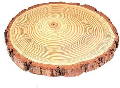 PRANSUNITA Natural Unfinished Wood Slice 5-5.5 inch (13-15 cm) for DIY Crafting Coasters