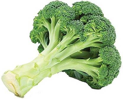 CYBEXIS NDIR-34 - Green Broccoli - (150 Seeds) Seed