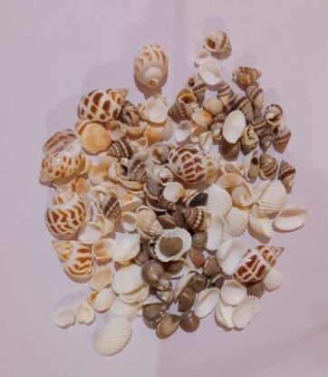 DARMIKA Sea Shell mix of 250 g PP (Polypropylene)