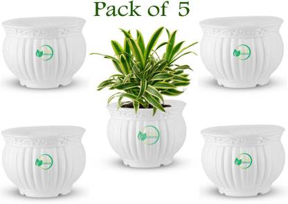 Oshi Greens Matki Designed white flower vase filler small table top Pot planters Vase Filler
