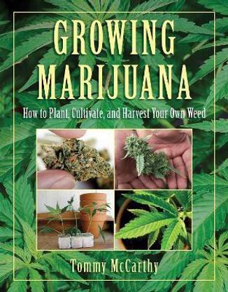 Growing Marijuana
