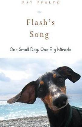 Flash's Song