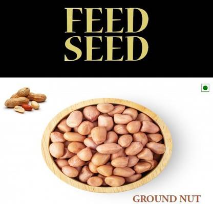 FeedSeed Organic Peanut (Whole)