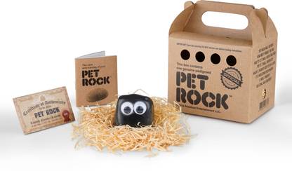PET ROCK PER ROCK1