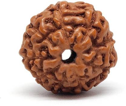 Senroar 9 Mukhi (Face) Indonesia Rudraksha Wood Pendant