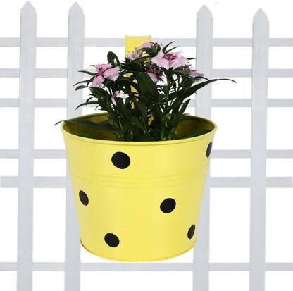 Shehnaz Plant Container Set