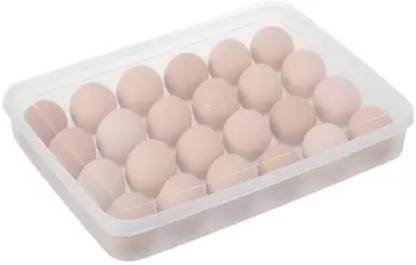 BIZOLO Plastic Egg Container  - 2 dozen