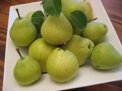 MAA Pear Seed