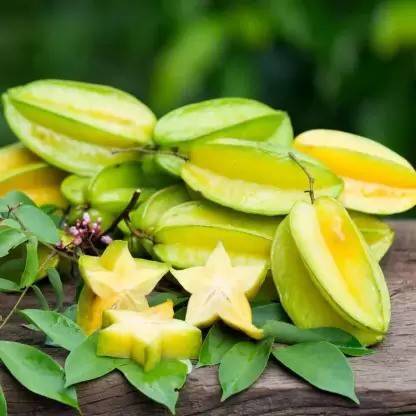 Chalisa Star Fruit, Carambola Seed