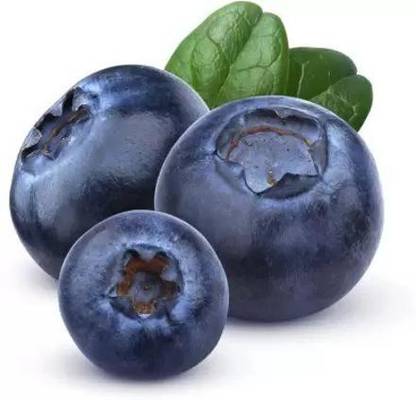 Chalisa Blueberry, Blueberries Seed