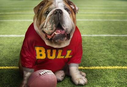 Poster Sports Georgia Bulldogs Football Dog Large Poster Paper Print Large Poster sl2084 (36x24 Inches, Matte Paper, Multicolor) Fine Art Print