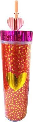 SARASI 450 ml Plastic, Steel Sipper