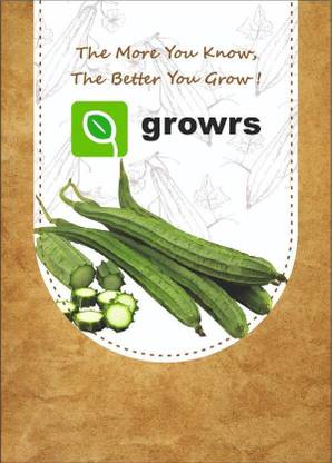 Growrs Ridge Gourd, Dodka Seed