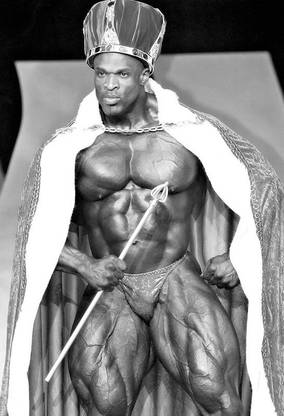 Poster Ronnie Coleman Body Building ser-14 Wall Poster (300 Gsm Matte Paper, 13 X 19 Inch, Multicolour) Fine Art Print