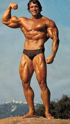 Poster Arnold Schwarzenegger Bodybuilding ser-4 Large Poster (36 X 24 Inch, Multicolour) Fine Art Print