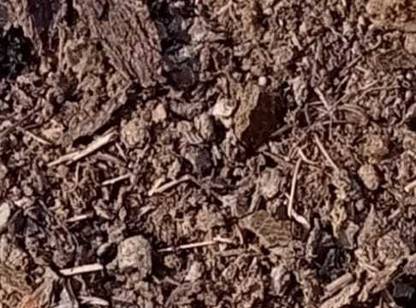 prathvi Jevik khad Manure