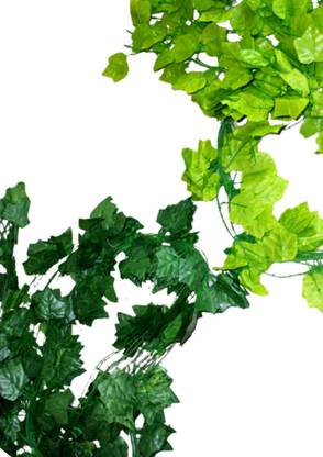 Gaurikas World English Ivy Light & Dark Green Artificial Plant