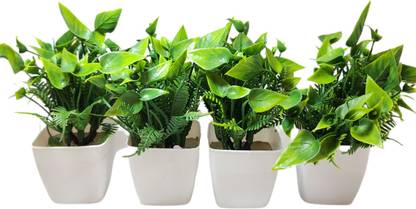 KikA Wild Artificial Plant  with Pot