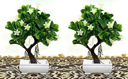 RESILIENCE Natural Plant Combo Bonsai Wild Artificial Plant  with Pot