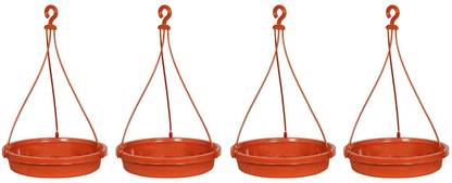 Starburst Sparrow Water Feeder & Window Bird Feeder