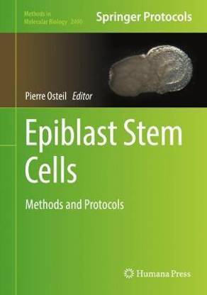 Epiblast Stem Cells