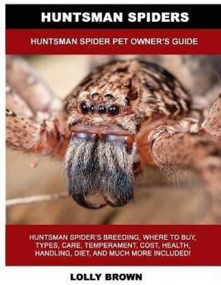 Huntsman Spiders