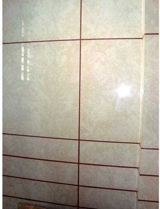 fixostone Epoxy Grout Tile Crack Filler for Floor & Wall (TERRA COTTA Colour) Crack Filler