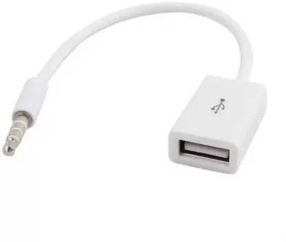 RHONNIUM AUX Cable 1 m 3.5mm Male AUX Audio Plug Jack to USB 2.0 Female Converter Cable Cord-G5