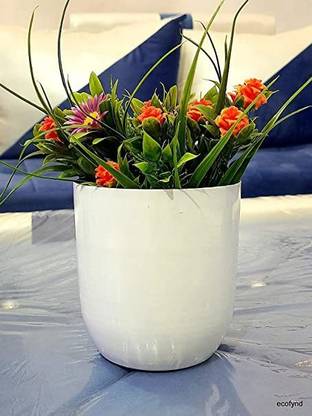Shehnaz Plant Container Set