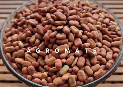 Agromate HADGA, SESBANIA GRANDIFLORA, AGATHI, AVISA, HUMMINGBIRD Seed