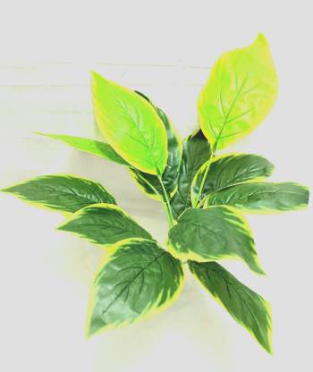 Tapovann Ap23 Wild Artificial Plant
