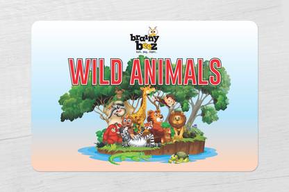 brainybeez Wild Animals Flashcards