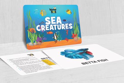 brainybeez Sea Creatures Flashcards